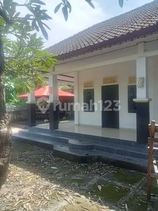 Rumah Siap Huni di Central Lovina Dekat Kemana-Mana