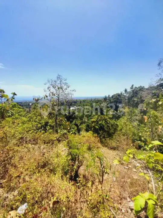 Tanah View Laut di Jalan Aspal Kayuputih Cocok untuk Villa atau Resort Kecil