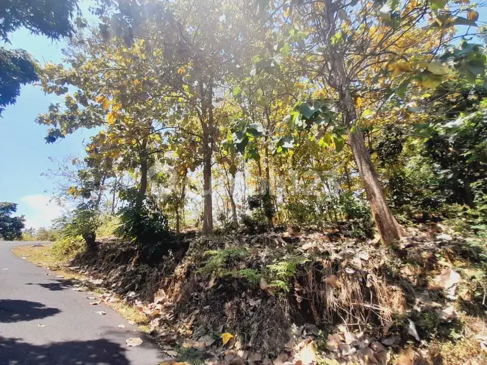 Tanah View Laut di Jalan Aspal Kayuputih Cocok untuk Villa atau Resort Kecil