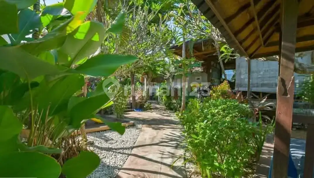 Villa Beach Front 3 Kamar Tidur di Umeanyar Bali Utara