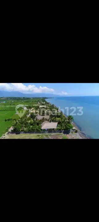 Villa Beach Front 3 Kamar Tidur di Umeanyar Bali Utara
