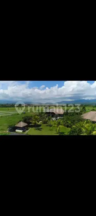 Villa Beach Front 3 Kamar Tidur di Umeanyar Bali Utara
