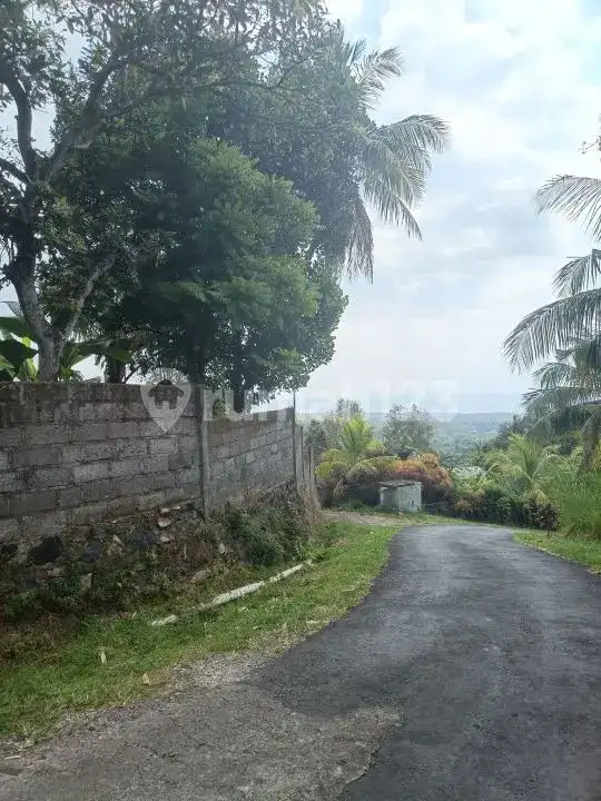 Tanah View Laut 10 Are Bonus Rumah dan Tembok Keliling di Panji Buleleng