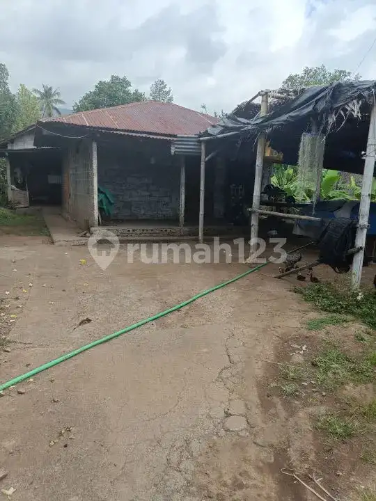 Tanah View Laut 10 Are Bonus Rumah dan Tembok Keliling di Panji Buleleng