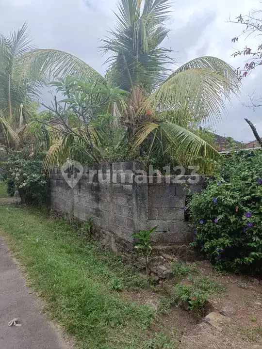 Tanah View Laut 10 Are Bonus Rumah dan Tembok Keliling di Panji Buleleng