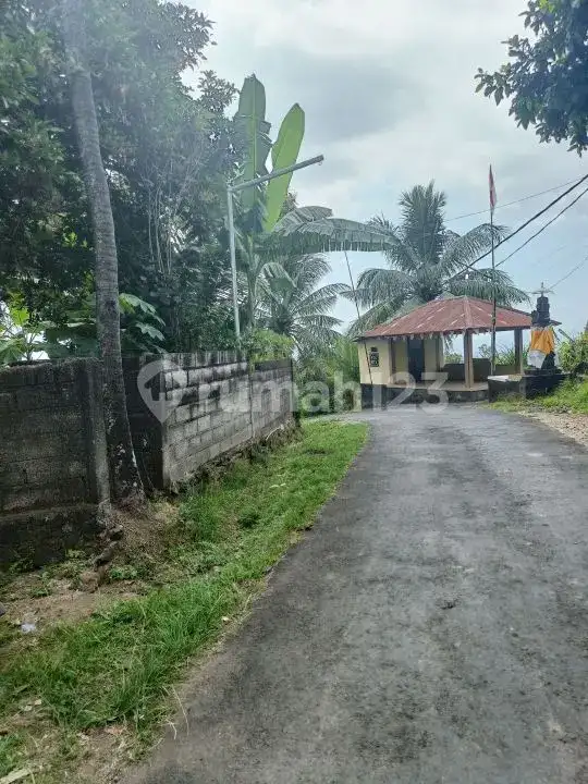 Tanah View Laut 10 Are Bonus Rumah dan Tembok Keliling di Panji Buleleng