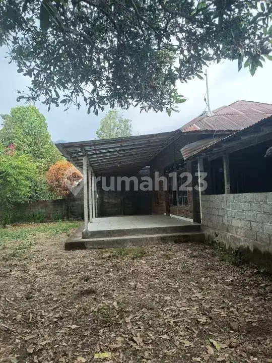 Tanah View Laut 10 Are Bonus Rumah dan Tembok Keliling di Panji Buleleng