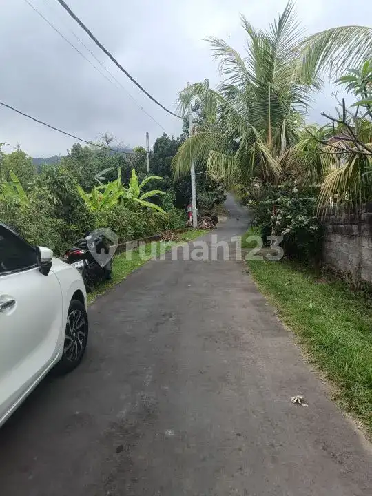 Tanah View Laut 10 Are Bonus Rumah dan Tembok Keliling di Panji Buleleng