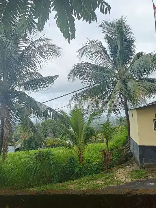 Tanah View Laut 10 Are Bonus Rumah dan Tembok Keliling di Panji Buleleng