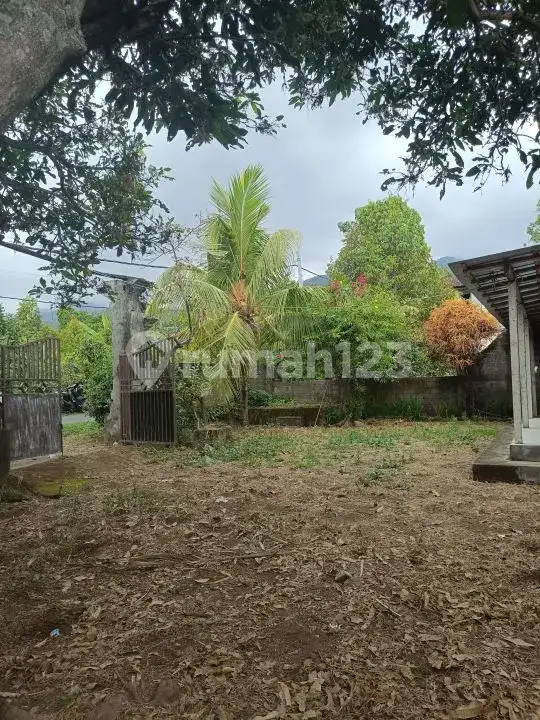 Tanah View Laut 10 Are Bonus Rumah dan Tembok Keliling di Panji Buleleng