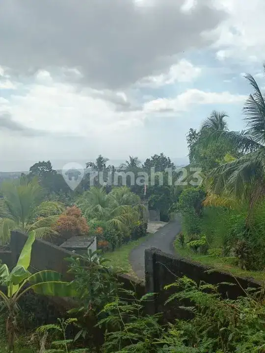 Tanah View Laut 10 Are Bonus Rumah dan Tembok Keliling di Panji Buleleng