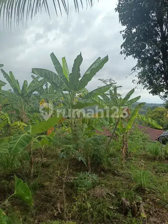 Tanah View Laut 10 Are Bonus Rumah dan Tembok Keliling di Panji Buleleng