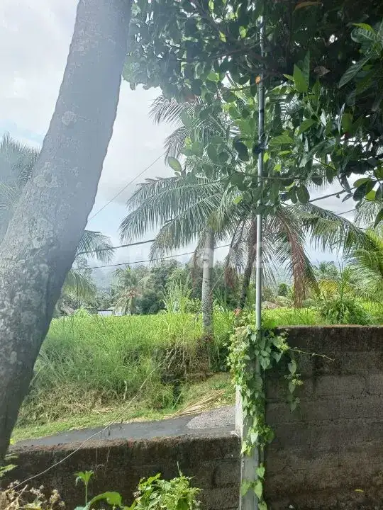 Tanah View Laut 10 Are Bonus Rumah dan Tembok Keliling di Panji Buleleng