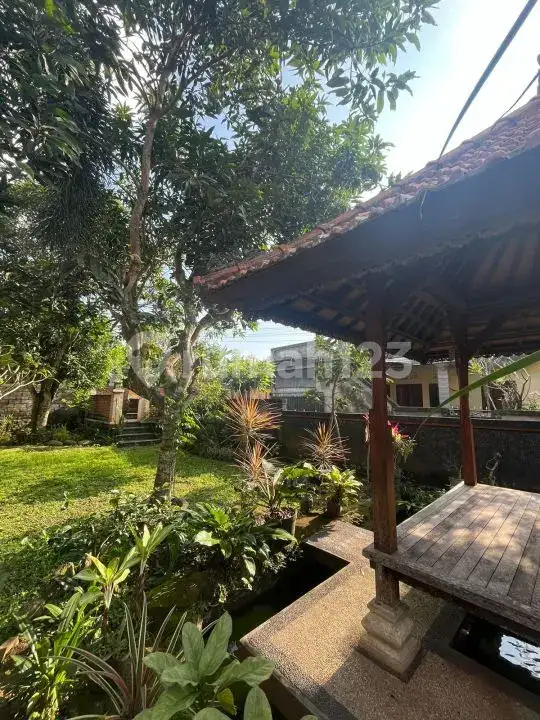 Rumah 2 Lantai Harga Murah di Karangasem Dijual Cepat