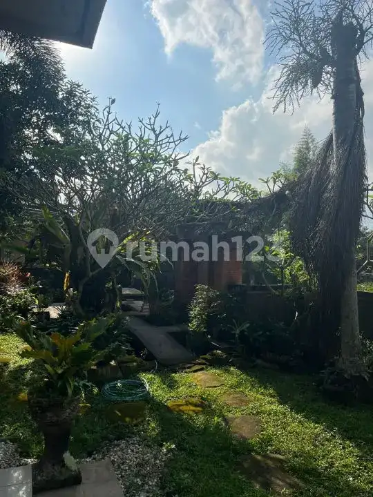 Rumah 2 Lantai Harga Murah di Karangasem Dijual Cepat