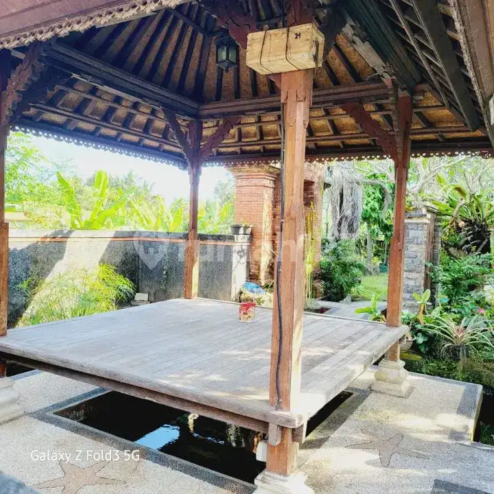 Rumah 2 Lantai Harga Murah di Karangasem Dijual Cepat