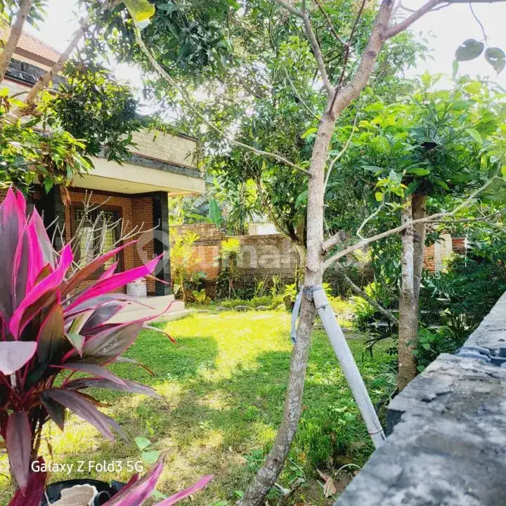 Rumah 2 Lantai Harga Murah di Karangasem Dijual Cepat