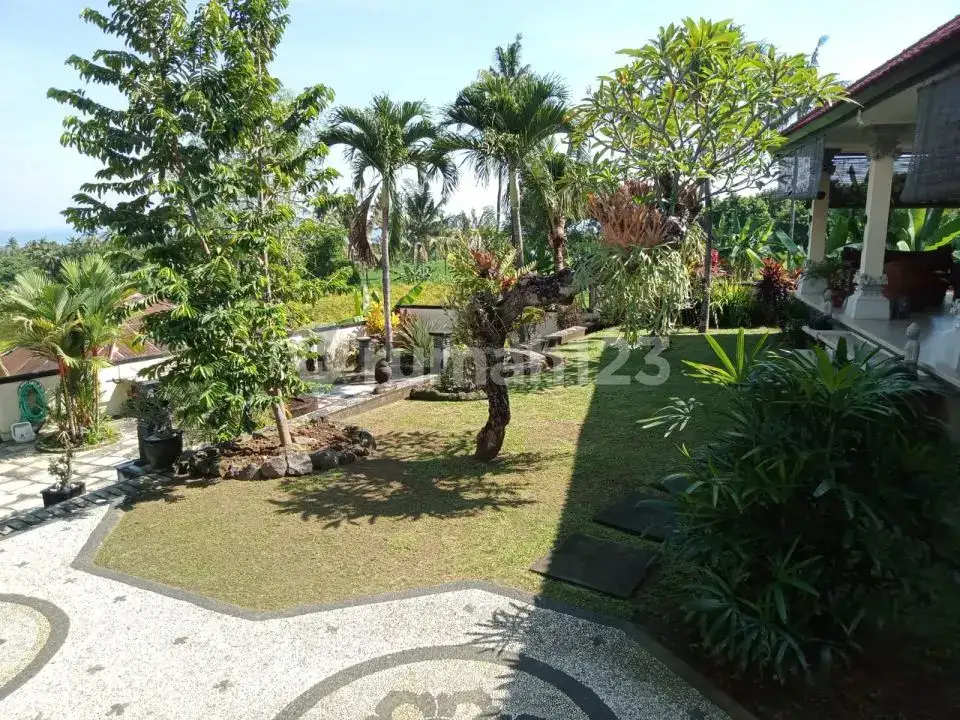 Villa 6 Kamar Tidur Dengan Pemandangan Sawah Dan Pegunungan Di Bali Utara