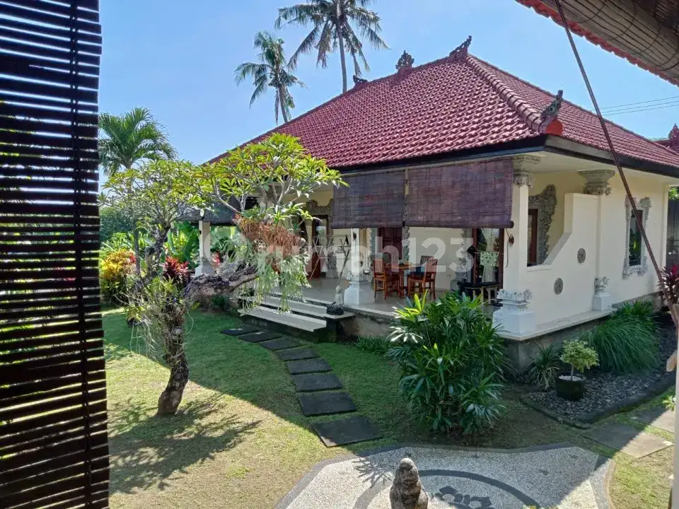 Villa 6 Kamar Tidur Dengan Pemandangan Sawah Dan Pegunungan Di Bali Utara