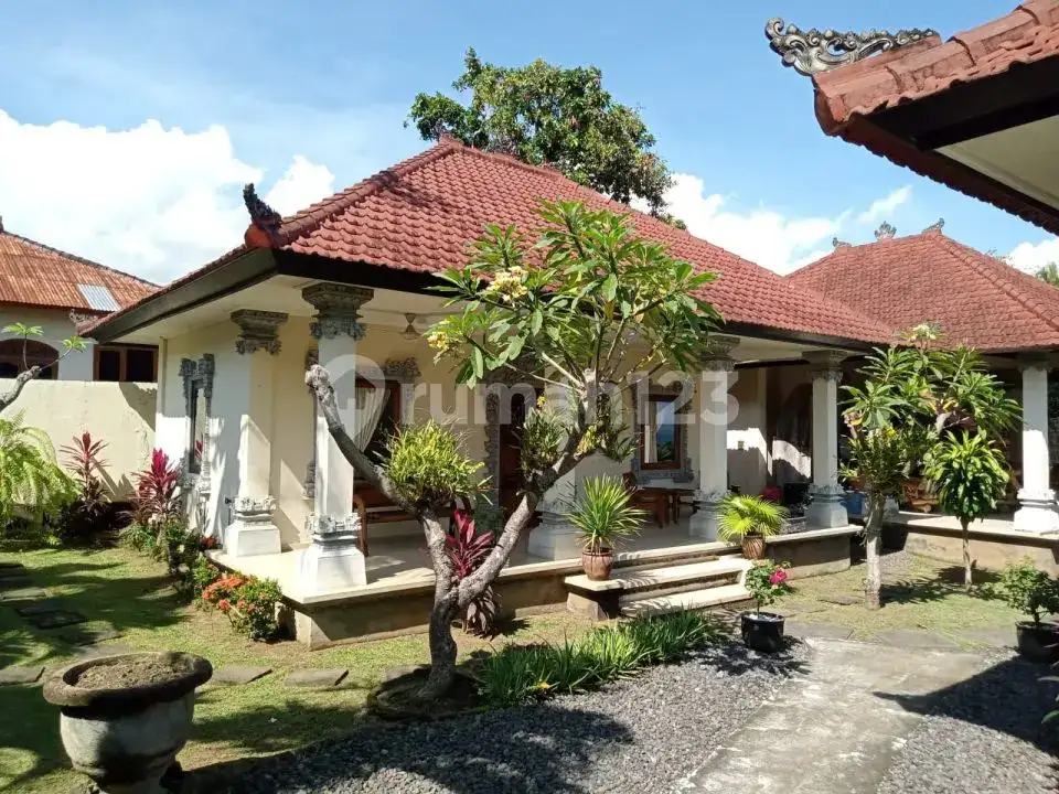 Villa 6 Kamar Tidur Dengan Pemandangan Sawah Dan Pegunungan Di Bali Utara