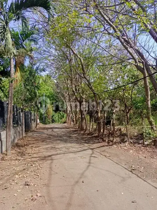 Tanah Premium Siap Bangun Villa Dekat Central Lovina