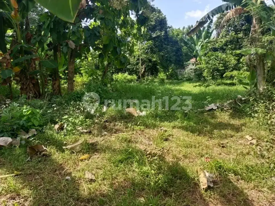 Tanah Premium Siap Bangun Villa Dekat Central Lovina