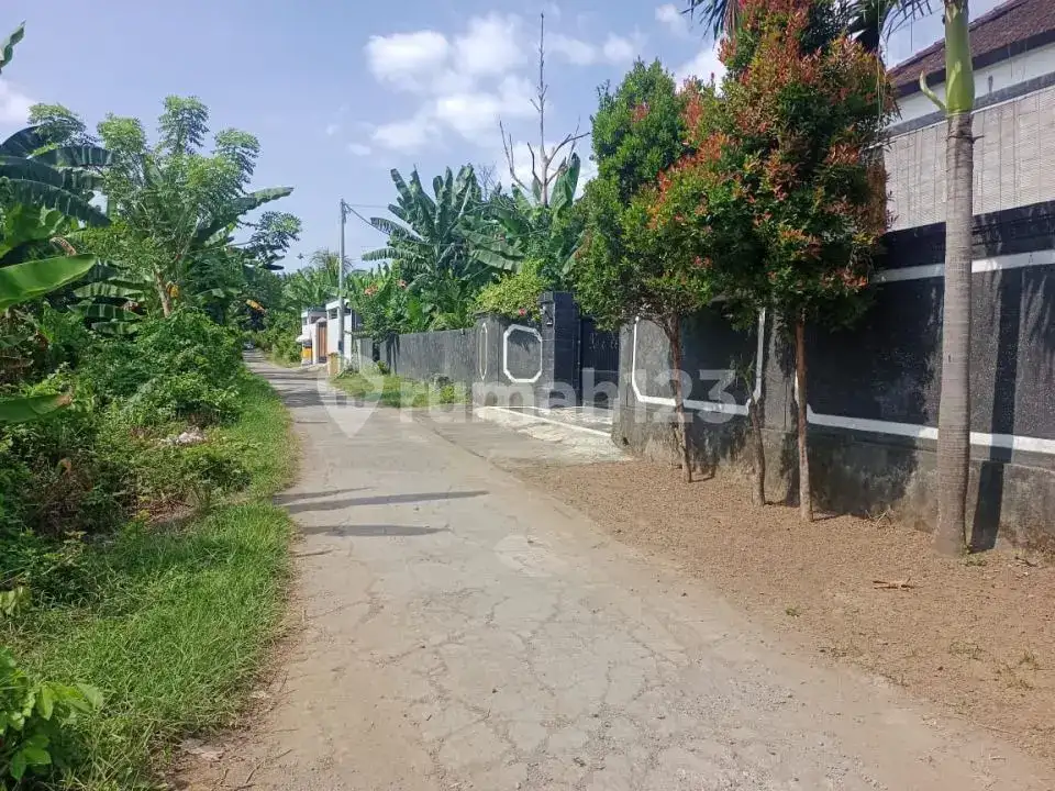 Tanah Premium Siap Bangun Villa Dekat Central Lovina