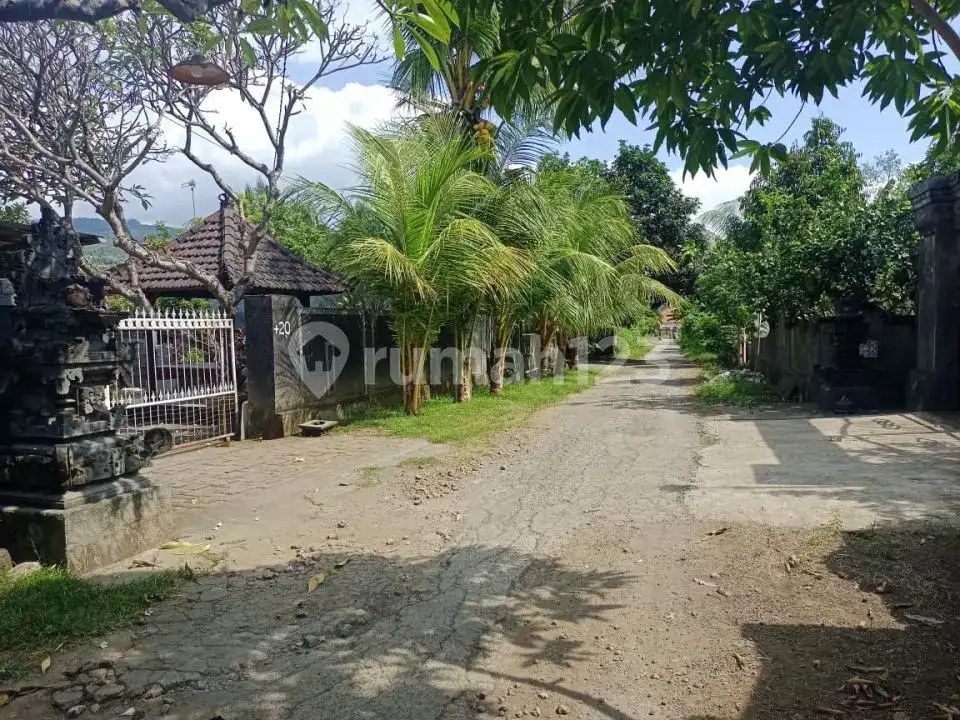 Tanah Premium Siap Bangun Villa Dekat Central Lovina