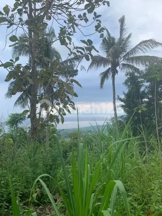 Tanah View Laut Dengan Akses Aspal Di Karangasem