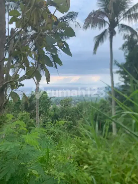 Tanah View Laut Dengan Akses Aspal Di Karangasem