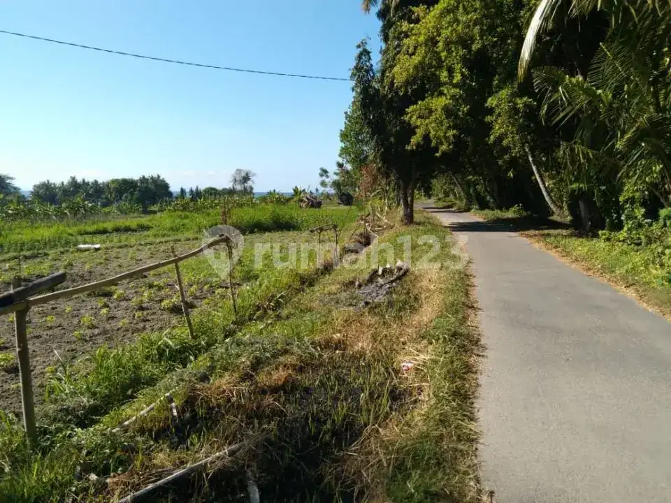 Tanah 10 Are Di Area Pantai Surfing Karangasem Dekat Pantai