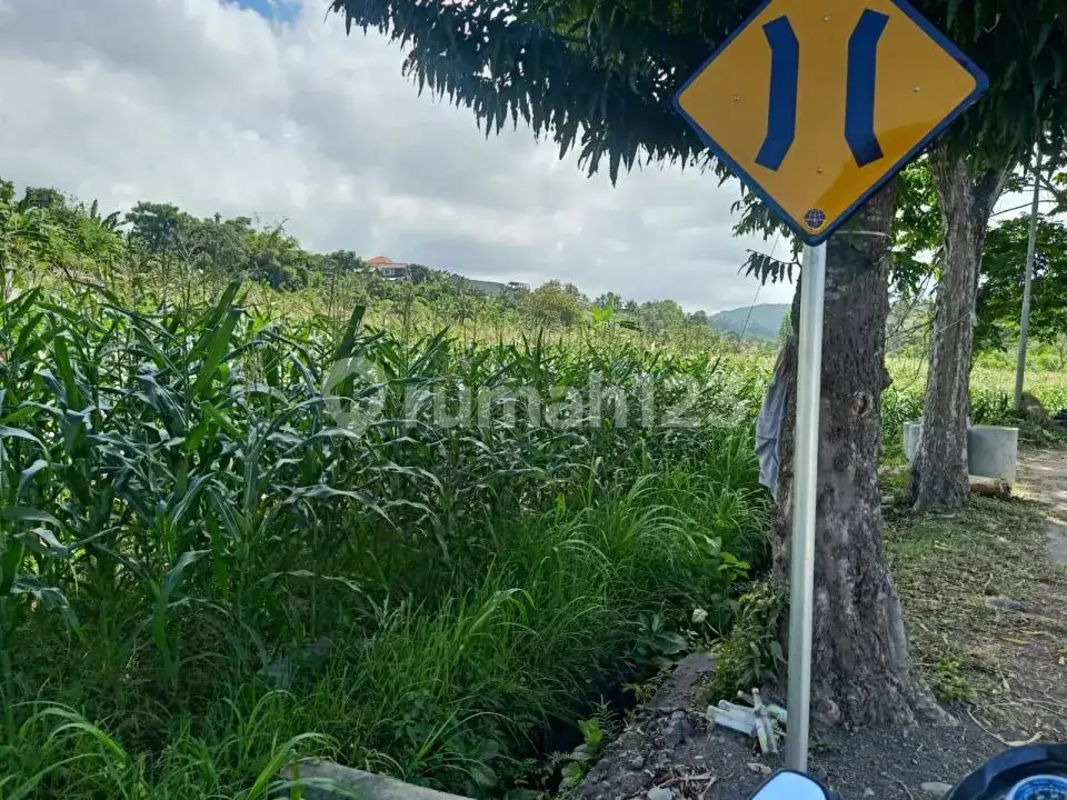 Tanah Dengan Pemandangan Sawah Terasering Dan Pegunungan Di Jalan Aspal Karangasem