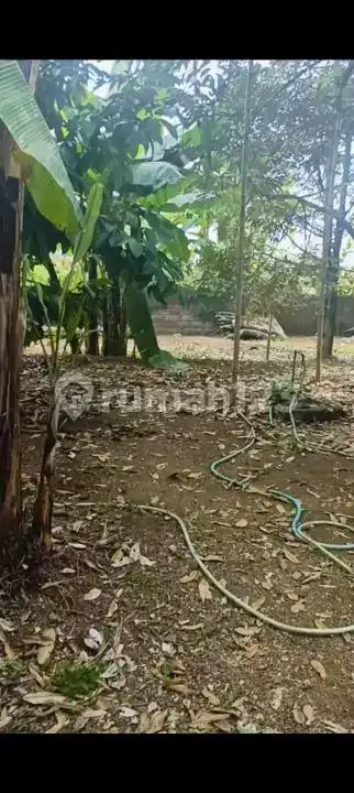 Tanah Siap Bangun Dengan Tembok Keliling Dan Pohon Durian Produktif