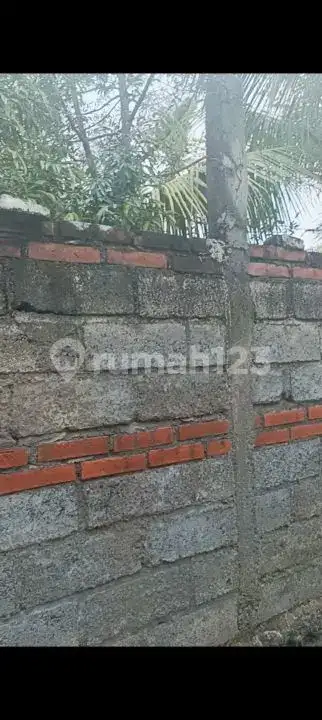Tanah Siap Bangun Dengan Tembok Keliling Dan Pohon Durian Produktif