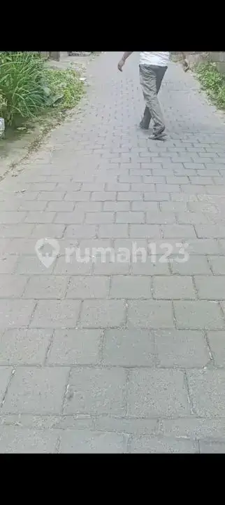 Tanah Siap Bangun Dengan Tembok Keliling Dan Pohon Durian Produktif