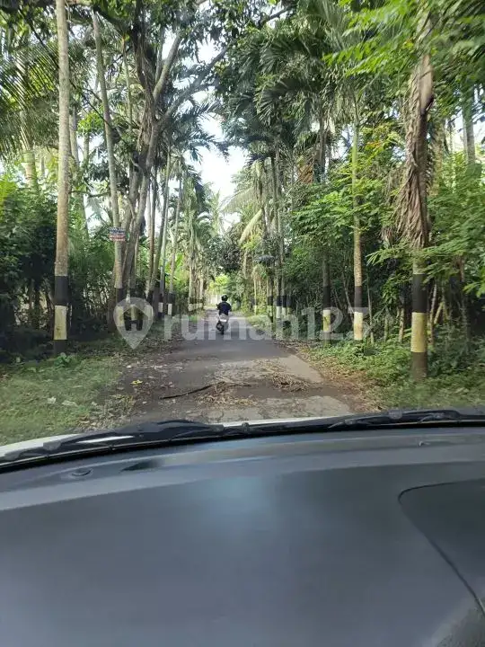 Tanah Premium Beach Front Cocok Untuk Resort Di Pantai Pasir Putih