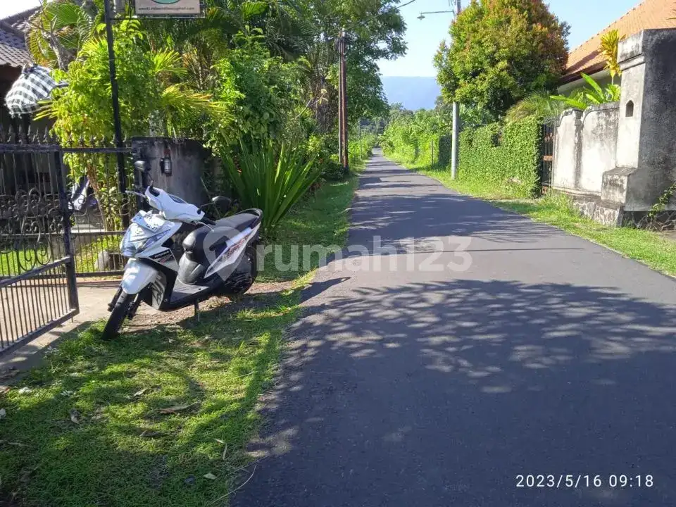 Villa Hanya 100 Meter Dari Pantai Di Lovina