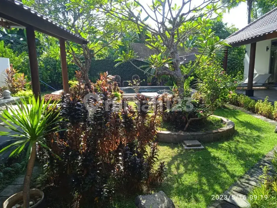 Villa Hanya 100 Meter Dari Pantai Di Lovina