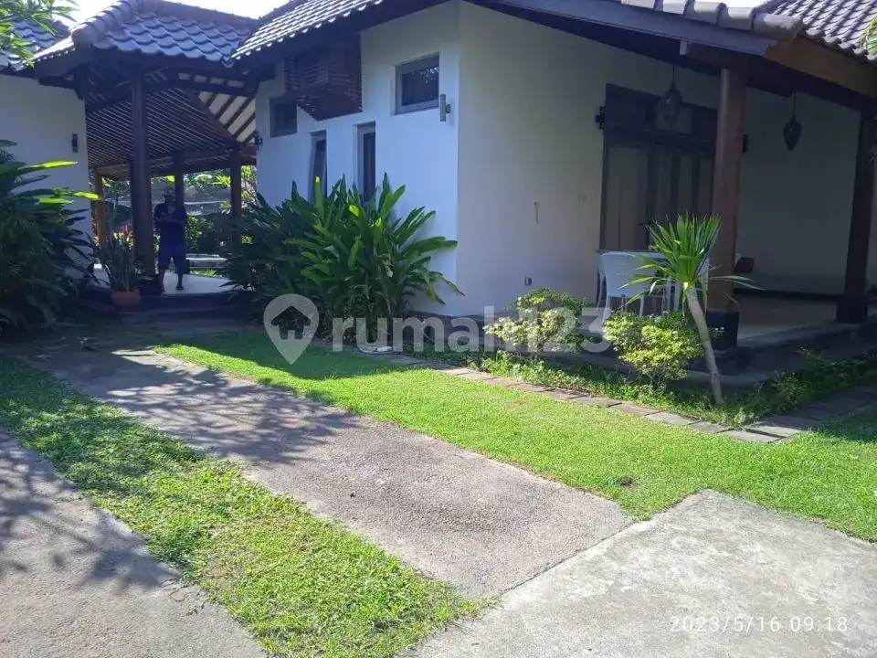 Villa Hanya 100 Meter Dari Pantai Di Lovina
