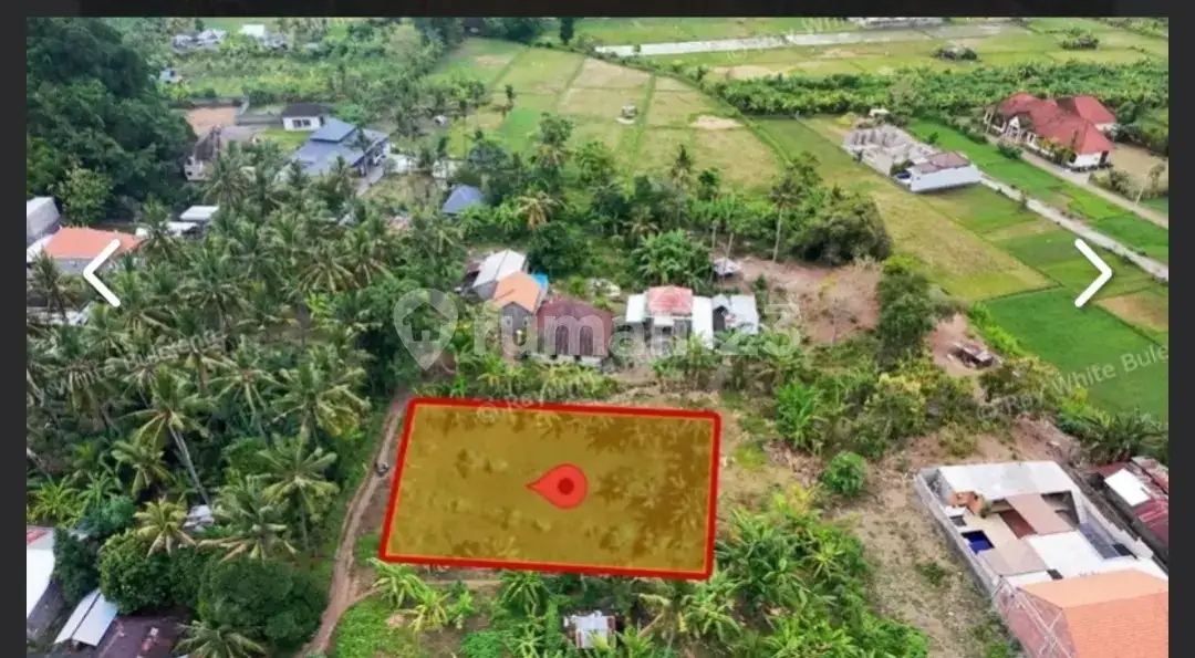 Tanah 12 Are Di Kawasan Villa Lovina Dekat Central Lovina