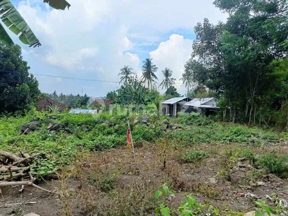 Tanah Premium Area Villa Jalan Kaki Ke Pantai Lovina