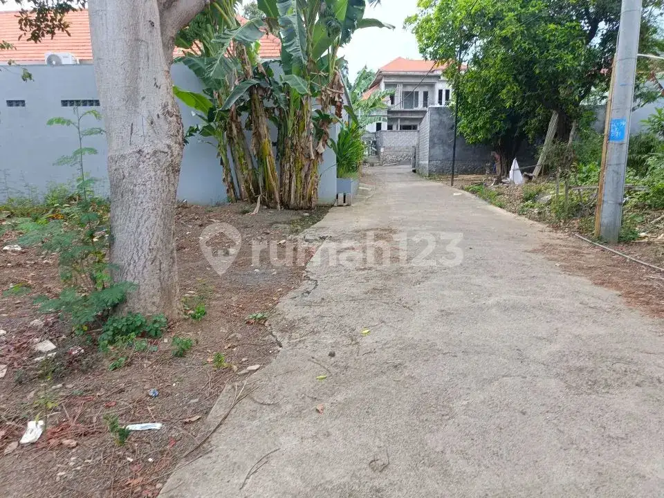 Tanah Premium Area Villa Jalan Kaki Ke Pantai Lovina