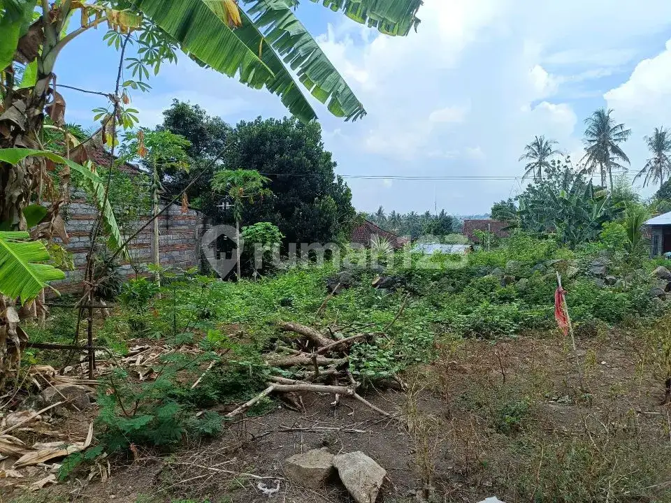 Tanah Premium Area Villa Jalan Kaki Ke Pantai Lovina