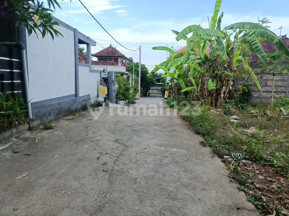 Tanah Premium Area Villa Jalan Kaki Ke Pantai Lovina