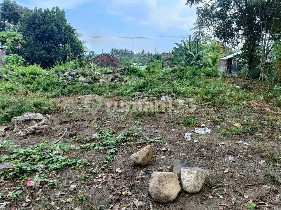 Tanah Premium Area Villa Jalan Kaki Ke Pantai Lovina
