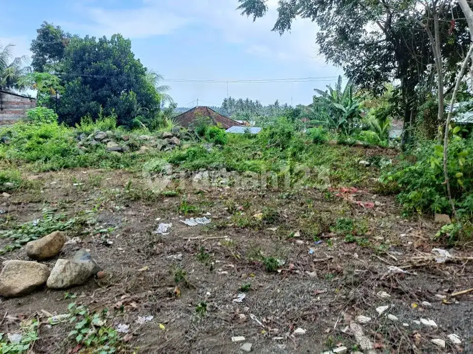Tanah Premium Area Villa Jalan Kaki Ke Pantai Lovina