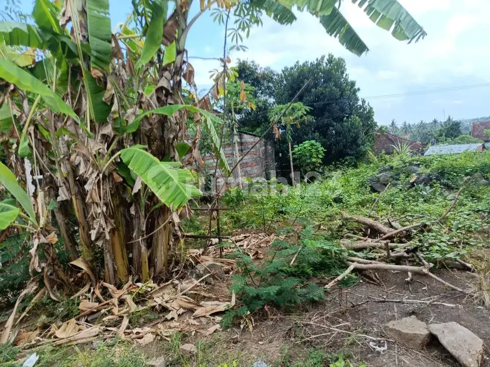 Tanah Premium Area Villa Jalan Kaki Ke Pantai Lovina
