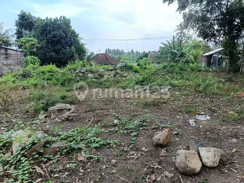 Tanah Premium Area Villa Jalan Kaki Ke Pantai Lovina