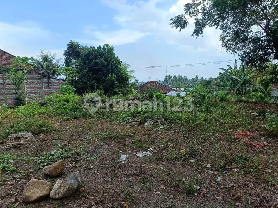 Tanah Premium Area Villa Jalan Kaki Ke Pantai Lovina