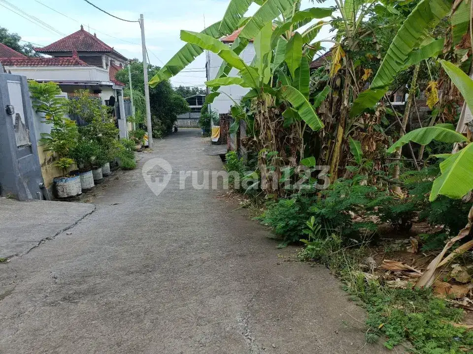 Tanah Premium Area Villa Jalan Kaki Ke Pantai Lovina